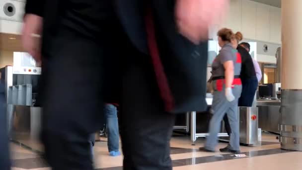 Inspección de seguridad de pasajeros en el aeropuerto internacional de Domodedovo — Vídeo de stock