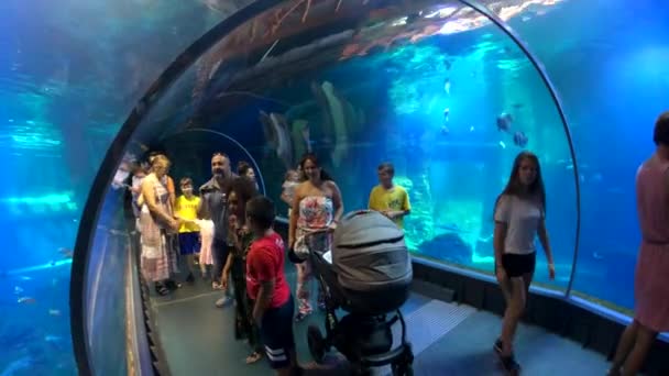 Oceanarium hayvanat bahçesi içinde sualtı tüneli insanlar katılmak — Stok video