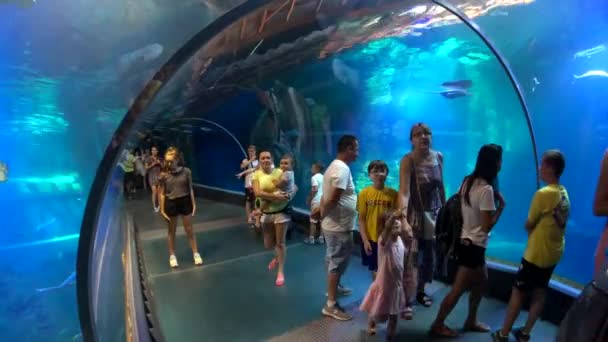 Ludzie uczestniczyć podwodnego tunelu w oceanarium, w zoo miasto — Wideo stockowe