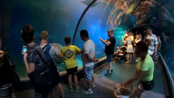 Ludzie uczestniczyć podwodnego tunelu w oceanarium, w zoo miasto — Wideo stockowe