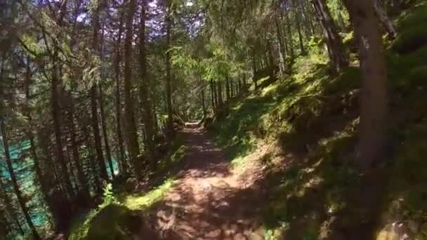 Middelbare leeftijd man wandelen in de bergen van Zwitserland — Stockvideo