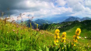 Yaz saati dağ panoramik manzarası Rochers-de-naye yakınındaki