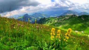 Yaz saati dağ panoramik manzarası Rochers-de-naye yakınındaki