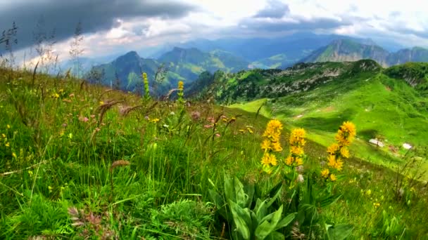 Verão tempo montanha paisagem panorâmica perto de Rochers-de-naye — Vídeo de Stock