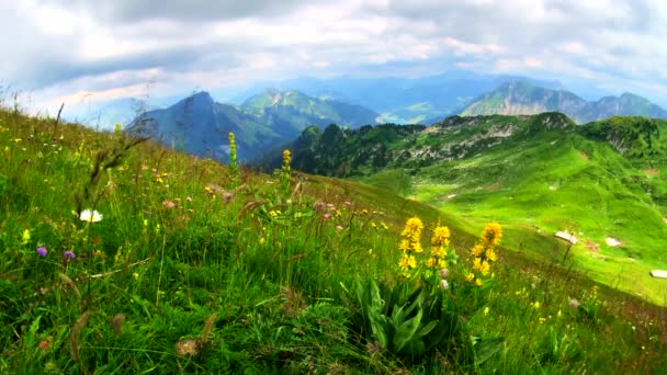 Verão tempo montanha paisagem panorâmica perto de Rochers-de-naye — Vídeo de Stock