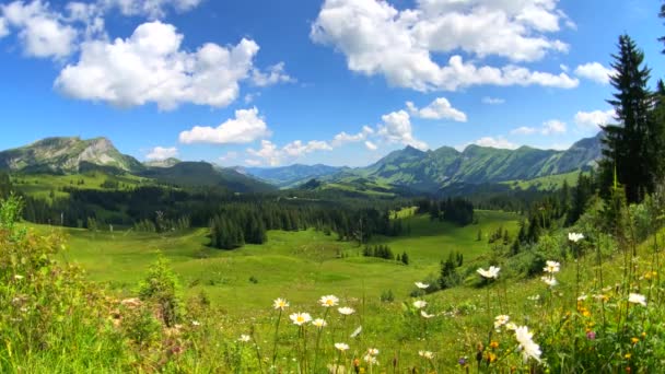 Heure d'été montagne paysage panoramique — Video