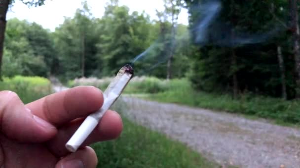 ПОВ чоловік курить марихуану суглоб — стокове відео