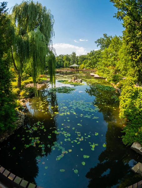 Pond in Japanese garden at summer — Stock Photo, Image