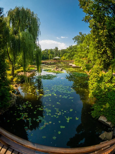 Pond in Japanese garden at summer — Stock Photo, Image