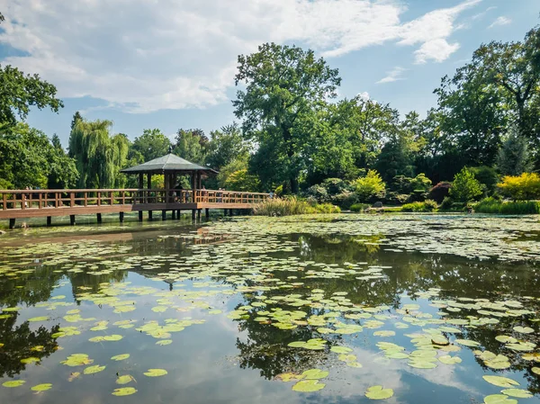 Vijver in Japanse tuin in de zomer — Stockfoto