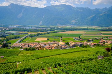 Aigle yakınındaki ön plan, üzüm bağları, yaz İsviçre vadi yatay