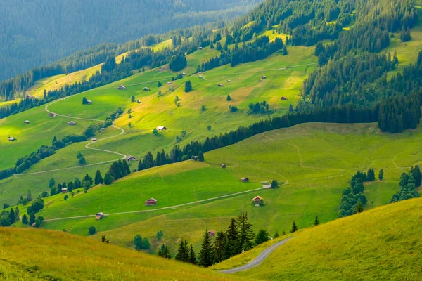 スイス連邦共和国農村田舎の夏の風景 — ストック写真