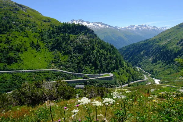 Sommarlandskap av Schweiz fjällnaturen — Stockfoto