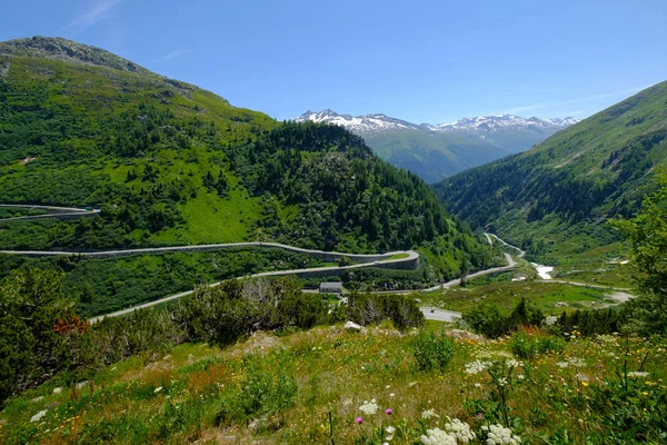 Paysage d'été de la Suisse montagne nature — Photo