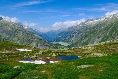 İsviçre dağ yaz manzarası