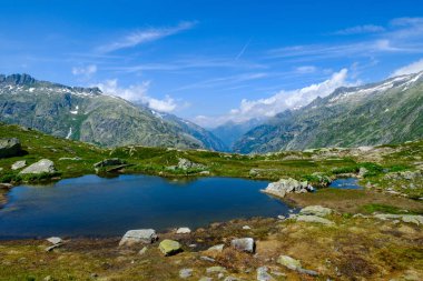 Yaz peyzaj Grimsel pass, İsviçre doğanın