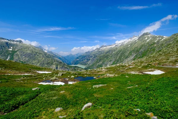 スイスの山の夏の風景 — ストック写真