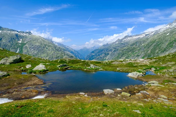 Yaz peyzaj Grimsel pass, İsviçre doğanın — Stok fotoğraf