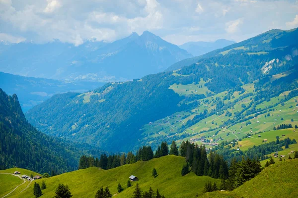 Летний пейзаж зеленых холмов горная деревня — стоковое фото