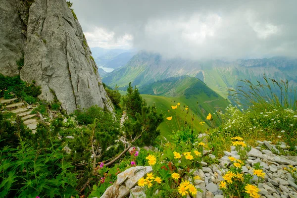 Typical summer mountains Switzerland landscape — Stock Photo, Image