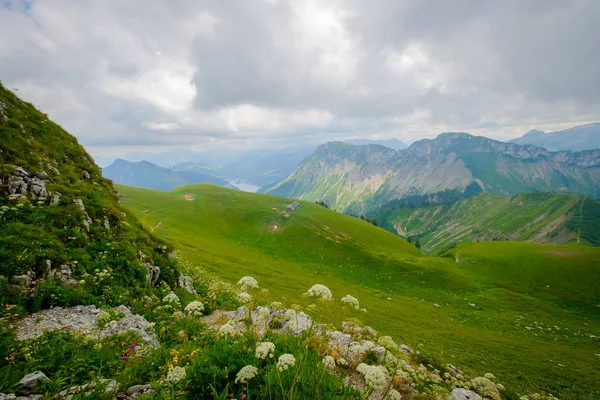 Montanhas típicas de verão Suíça paisagem — Fotografia de Stock