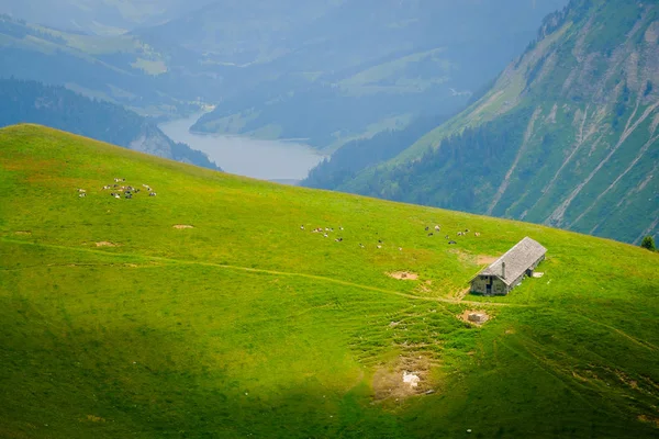 Montañas típicas de verano Suiza paisaje —  Fotos de Stock