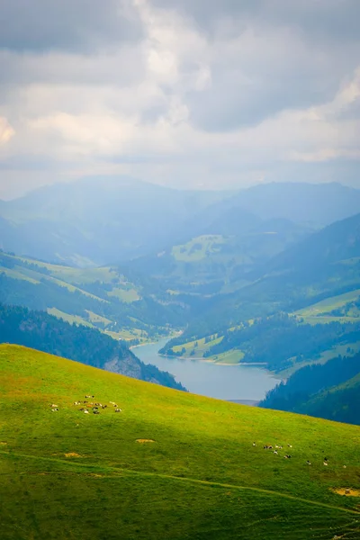 Typische Sommerberge Schweizer Landschaft — Stockfoto