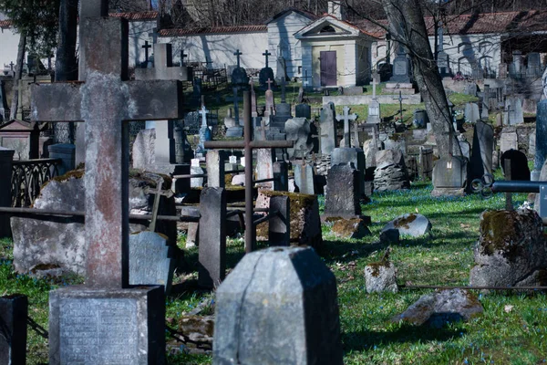 Passeggiando nel vecchio cimitero — Foto Stock