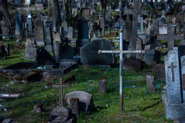 Passeggiando nel vecchio cimitero — Foto Stock