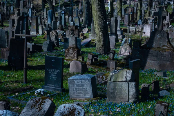 Passeggiando nel vecchio cimitero — Foto Stock