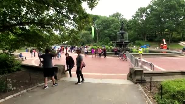 Ludzie odwiedzają park centralny na Manhattanie w ciągu dnia latem — Wideo stockowe