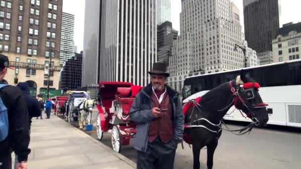 Povozy poblíž central parku na Manhattanu — Stock video