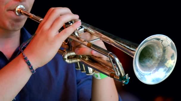 Musicien jouant de la trompette lors d'un concert live — Video