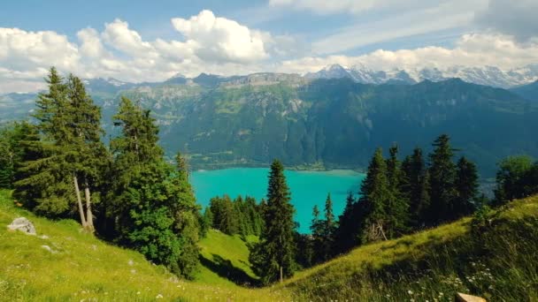 Hermosa montaña Brienz lago verano paisaje — Vídeo de stock