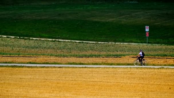 Hombre en bicicleta en el campo — Vídeos de Stock