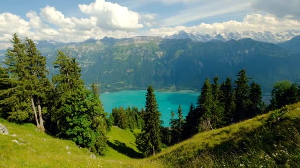 Güzel dağ Brienz Gölü yaz manzara — Stok video