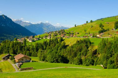 İsviçre kırsal kırlarda yaz peyzaj