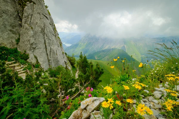 Typische Sommerberge Schweizer Landschaft — Stockfoto