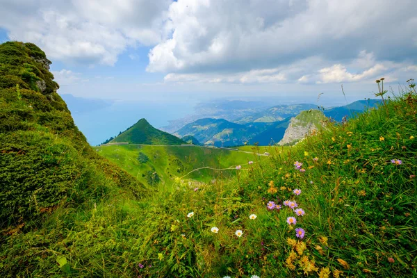 Montañas típicas de verano Suiza paisaje —  Fotos de Stock