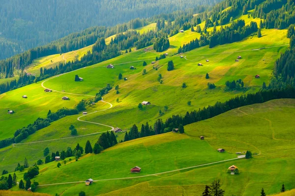 Καλοκαιρινό τοπίο από την πλευρά της υπαίθρου χώρας Ελβετία — Φωτογραφία Αρχείου