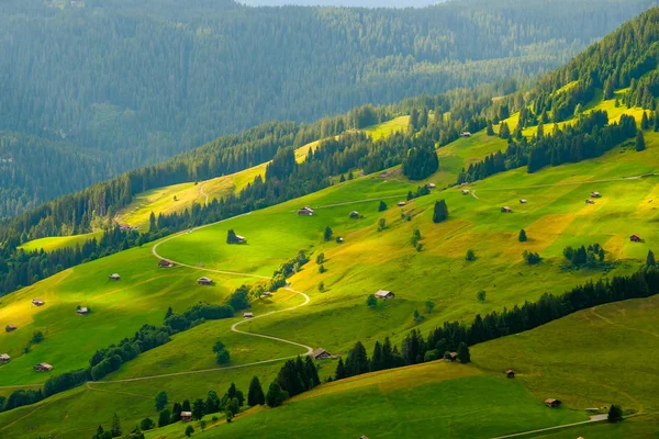 Paisaje de verano de Suiza campo rural — Foto de Stock