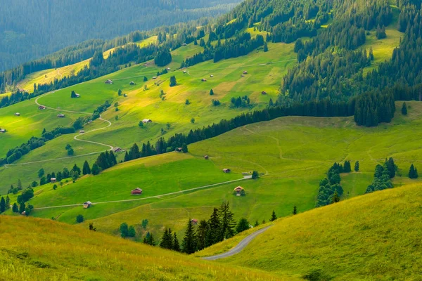 Paesaggio estivo della Svizzera campagna rurale — Foto Stock