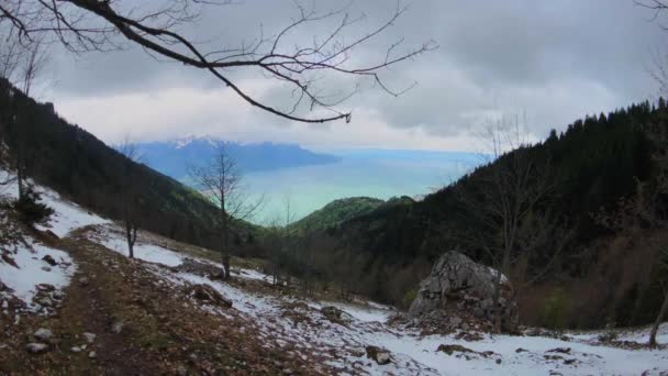 Όμορφα βουνά της Ελβετίας τοπίο θέα στη λίμνη της Γενεύης — Αρχείο Βίντεο