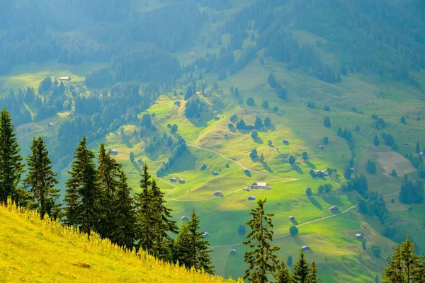 瑞士乡村乡村的夏天风景 — 图库照片