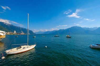 Limanda Yatlar, ön plan kuğu