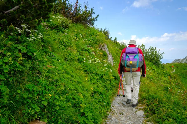 Personer vandring i Schweiz Alperna på solig dag — Stockfoto