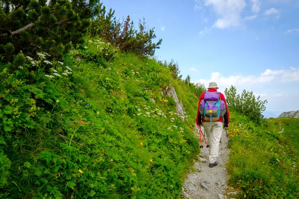 Mensen wandelen in de Alpen van Zwitserland op zonnige dag — Stockfoto