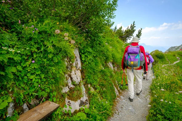 阳光明媚的日子里, 人们在瑞士阿尔卑斯山徒步旅行 — 图库照片