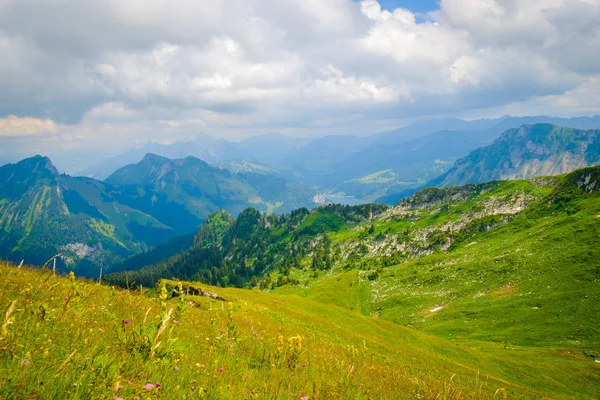 Typické letní hory Švýcarsko krajina — Stock fotografie