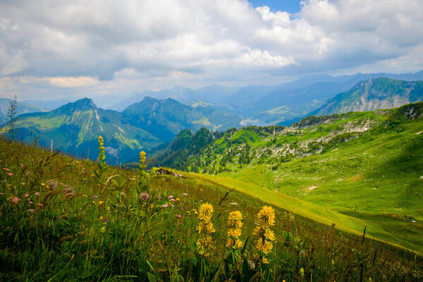 Typical summer mountains Switzerland landscape
